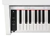 Medeli DP250RB-PVC-WH Цифровое пианино.-3