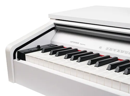 Medeli DP250RB-PVC-WH Цифровое пианино.